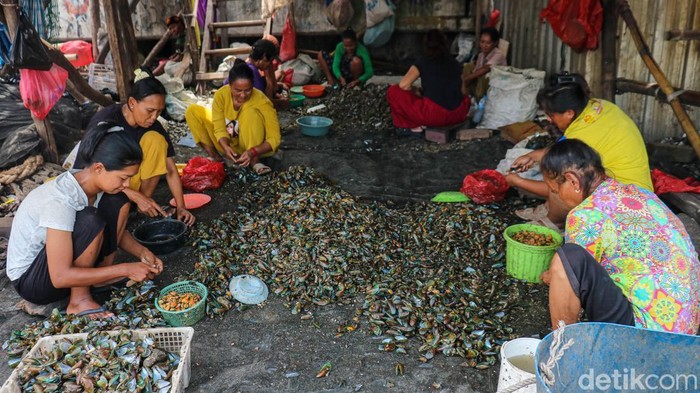 Denyut Ekonomi Pesisir Cilincing Tetap Hidup di Tengah Tumpukan Cangkang Kerang Nelayan tampak bergantian tiba di kawasan pesisir Cilincing, Jakarta Utara, Senin (8/12/2025), untuk mencari rezeki di tengah cuaca yang tidak menentu. Aktivitas rutin ini menjadi denyut ekonomi masyarakat pesisir.
