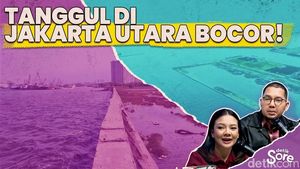 Video: Kondisi Terbaru Tanggul Bocor di Jakarta Utara