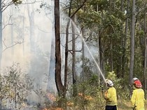 Dunia Hari Ini: Kebakaran Hutan di Australia, Seorang Petugas Damkar Tewas