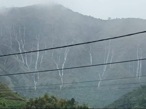 Penjelasan Badan Geologi soal Air Terjun Dadakan di Sembalun Saat Hujan Deras