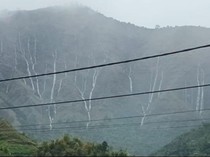 Air Terjun Dadakan Muncul di Sembalun Saat Hujan Deras, Warga Panik