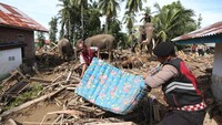Selain membuka akses jalan, kerja para gajah juga membantu memulihkan lingkungan sekitar rumah warga yang masih dipenuhi sisa-sisa banjir bandang yang melanda Pidie Jaya beberapa hari sebelumnya. ANTARA FOTO/Irwansyah Putra