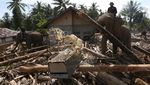 Gajah Turun Gunung, Bantu Bersihkan Puing Bencana di Pidie Jaya