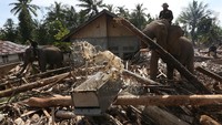 Di bawah komando para mahout, gajah-gajah tersebut bekerja dengan sigap, menggunakan kekuatan belalai dan tubuh mereka untuk menggeser tumpukan gelondongan kayu yang selama berhari-hari menghalangi permukiman. ANTARA FOTO/Irwansyah Putra