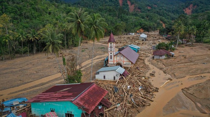 Rektor UI: Pemerintah Perlu Kaji Lagi Izin Konversi Hutan untuk Tujuan Komersial