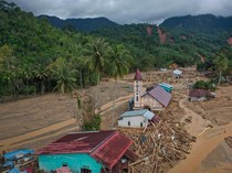 Rektor UI: Pemerintah Perlu Kaji Lagi Izin Konversi Hutan untuk Tujuan Komersial