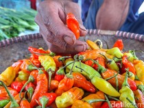 Harga Sembako Jogja Hari Ini 8 Desember 2025: Rawit Merah Dekati Rp 90 Ribu/Kg