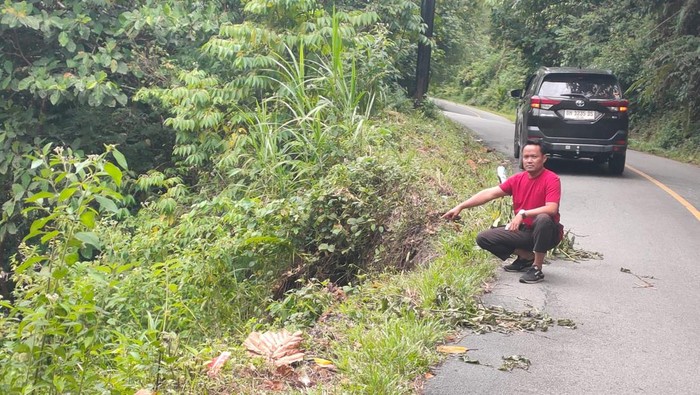 Identitas 3 Korban dalam Mobil yang Masuk Jurang di Batas Kerinci