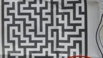 Maze paling cepat sedunia. Foto: sorry_wasntlistening via Bored Panda  