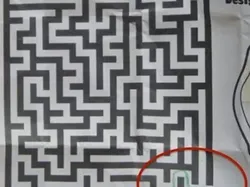 Momen Epik Niat Nggak Niat, Skill Malas yang Jadi Viral