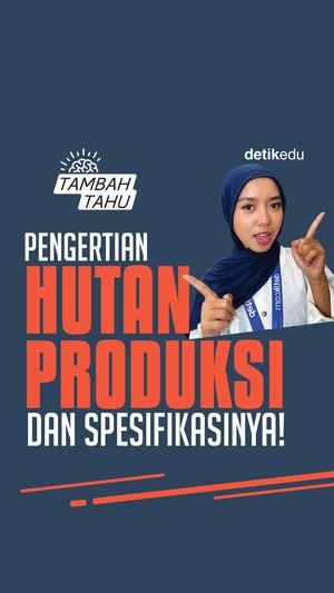 Video Tambah Tahu: Pengertian Hutan Produksi dan Spesifikasinya!