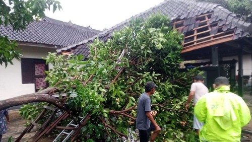 Proses evakuasi pohon tumbang yang menimpa rumah warga di Banjar Rukun, Desa Gumbrih, Kecamatan Pekutatan, Jembrana, Bali, Senin (8/12/2025). (Foto: Polres Jembrana)