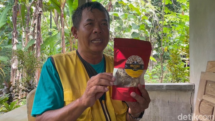 Gurihnya Keripik Tempe Koro Benguk Buatan Kelompok Difabel Kulon Progo
