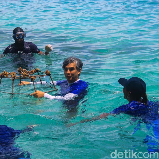 Restorasi Karang dan Pelepasan Ikan Badut di Pulau macan