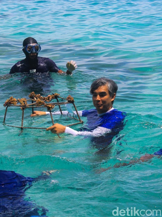 Restorasi Karang dan Pelepasan Ikan Badut di Pulau macan