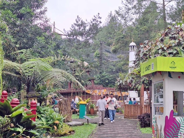 Upaya Taman Safari Bogor Jaga Keberlangsungan Wisata dan Konservasi