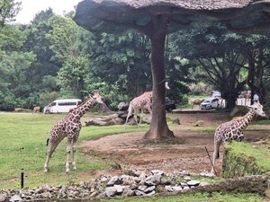 Nggak Perlu Jauh, Ini 8 Spot Wisata Dekat Jakarta Untuk Libur Long Weekend