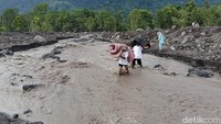 Warga yang menjadi korban banjir lahar Gunung Semeru, mengevakuasi barang berharga dari rumah mereka yang terdampak.