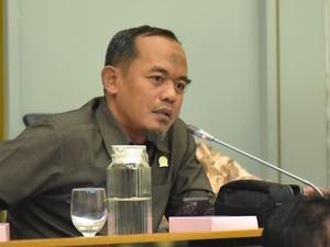 Anggota DPR Minta Menhut Segera Ungkap Sindikat Illegal Logging