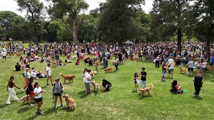 A man holds a Golden Retriever wearing a cap during a meetup seeking to break the world record for the largest gathering of the breed, in Buenos Aires, Argentina December 8, 2025. REUTERS/Agustin Marcarian     TPX IMAGES OF THE DAY