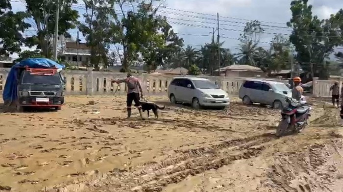 Polisi Kerahkan Anjing Pelacak Cari Korban Bencana di Aceh Tamiang