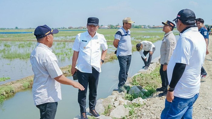 Swasembada Pangan Jadi Alasan di Balik Gratisnya Pajak Sawah di Karawang