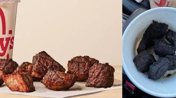 Ekspektasi: Potongan daging juicy berwarna cokelat keemasan dengan tekstur lembut. Realita: Daging terlihat sangat kering dan gelap, seperti terlalu lama dimasak. Foto: Reddit