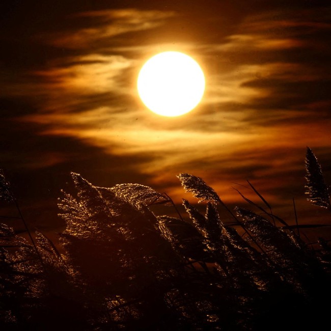 Senja Tenang di Danau Vaccares