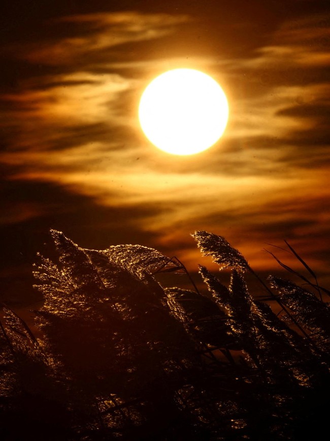 Senja Tenang di Danau Vaccares