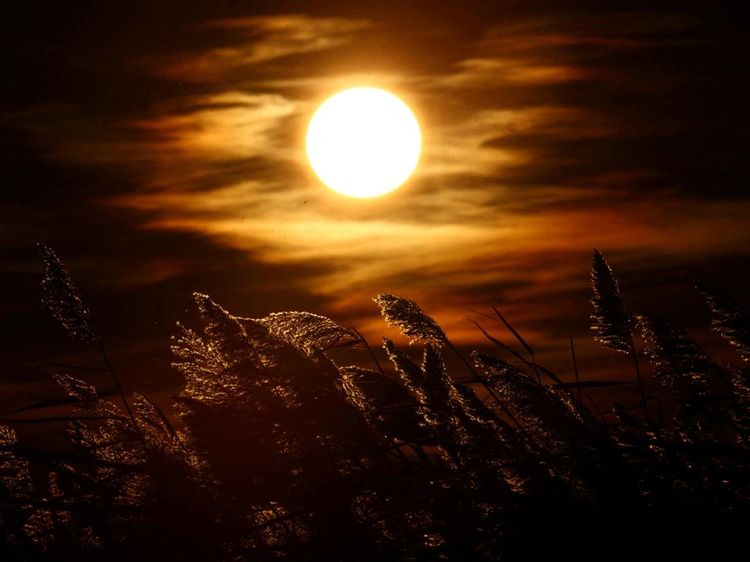 Senja Tenang di Danau Vaccares