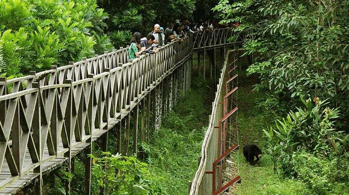 Hutan Lindung Sungai Wain.