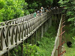 Balikpapan Punya Paru-paru, Ini Dia Hutan Lindung Sungai Wain