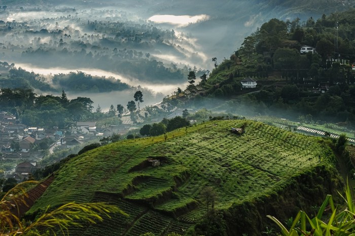 Nggak Perlu ke Eropa, Winter-Vibes di Jabar Siap Meriahkan Libur Nataru!