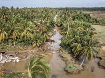 Banjir Memutus Akses Warga di Desa Kuala Keureuto, Aceh Utara