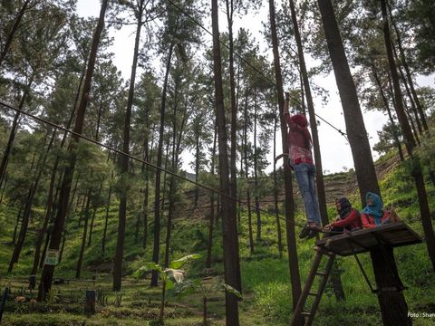 Obyek Wisata Gunung Beruk Gunung Beruk terletak di desa Karangpatihan Kecamatan Balong Kabupaten Ponorogo