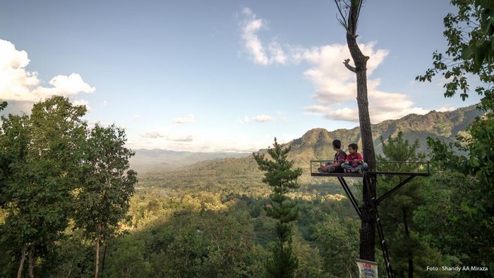 Gunung Beruk, Wisata Hits Desa Karangpatihan dengan Panorama Bukit Indah