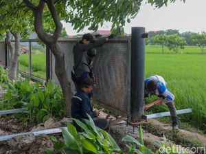 Revitalisasi Taman Rotanusa Dikebut Demi Ruang Hijau Lebih Nyaman