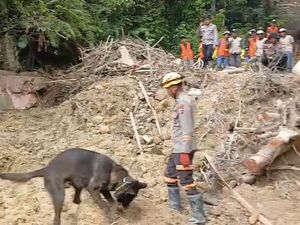 Pencarian Korban Bencana di Sibolga Pakai 4 Anjing Pelacak, Terhambat Hujan