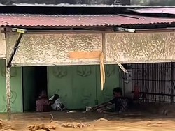 Viral Kisah Pria Terjebak Banjir di Aceh: Rumah Jebol, Tidur di Atas Truk