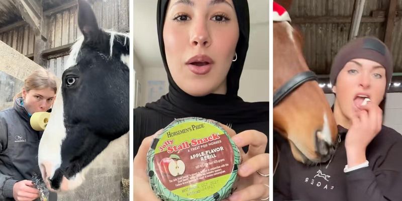 Waduh! Kini Muncul Tren Nyeleneh Cicip Makanan Kuda di TikTok