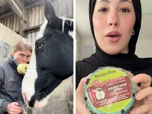 5 Tren Makanan TikTok Paling Nyeleneh dan  Mindblowing, Berani Coba?