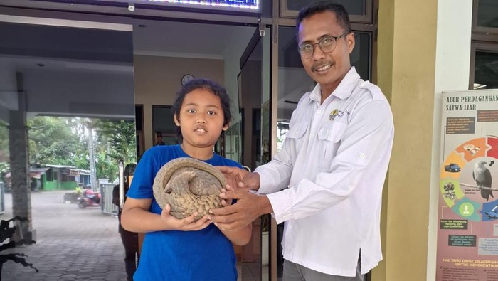 Serahkan Trenggiling Temuan ke BKSDA Jogja, Ini Alasan Mulia Bocah Sleman