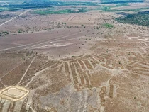 Studi Ungkap Pertanian Purba di Kawasan Amazon Bolivia, Begini Inovasinya