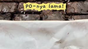 Video Cicip Brownies Hits Rp 68 Ribu Punya TikToker Savira Malik