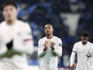 Chelsea Capek