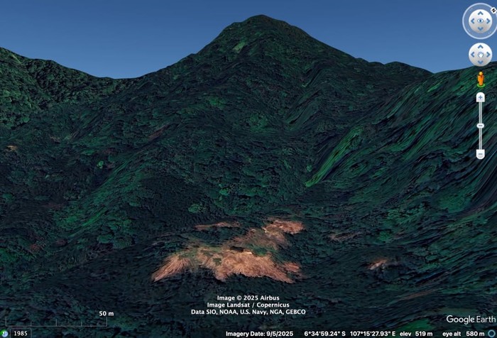 Bahaya! Penggundulan Hutan Sanggabuana Ancam Masa Depan Owa Jawa