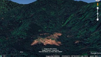 Bahaya! Penggundulan Hutan Sanggabuana Ancam Masa Depan Owa Jawa