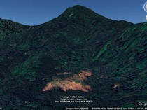 Bahaya! Penggundulan Hutan Sanggabuana Ancam Masa Depan Owa Jawa