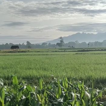 Desa Wisata Keling Desa Wisata Keling