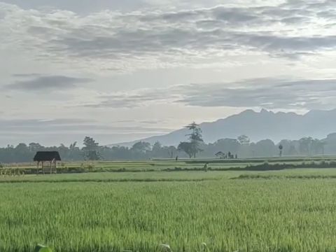 Desa Wisata Keling